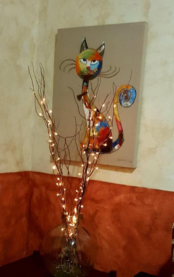 Holiday home Casapancho 1 Y 2 - - - Tenerife *