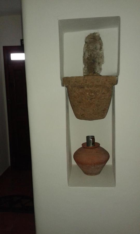 Casapancho 1 Y 2 - - - Tenerife Holiday home Fasnia