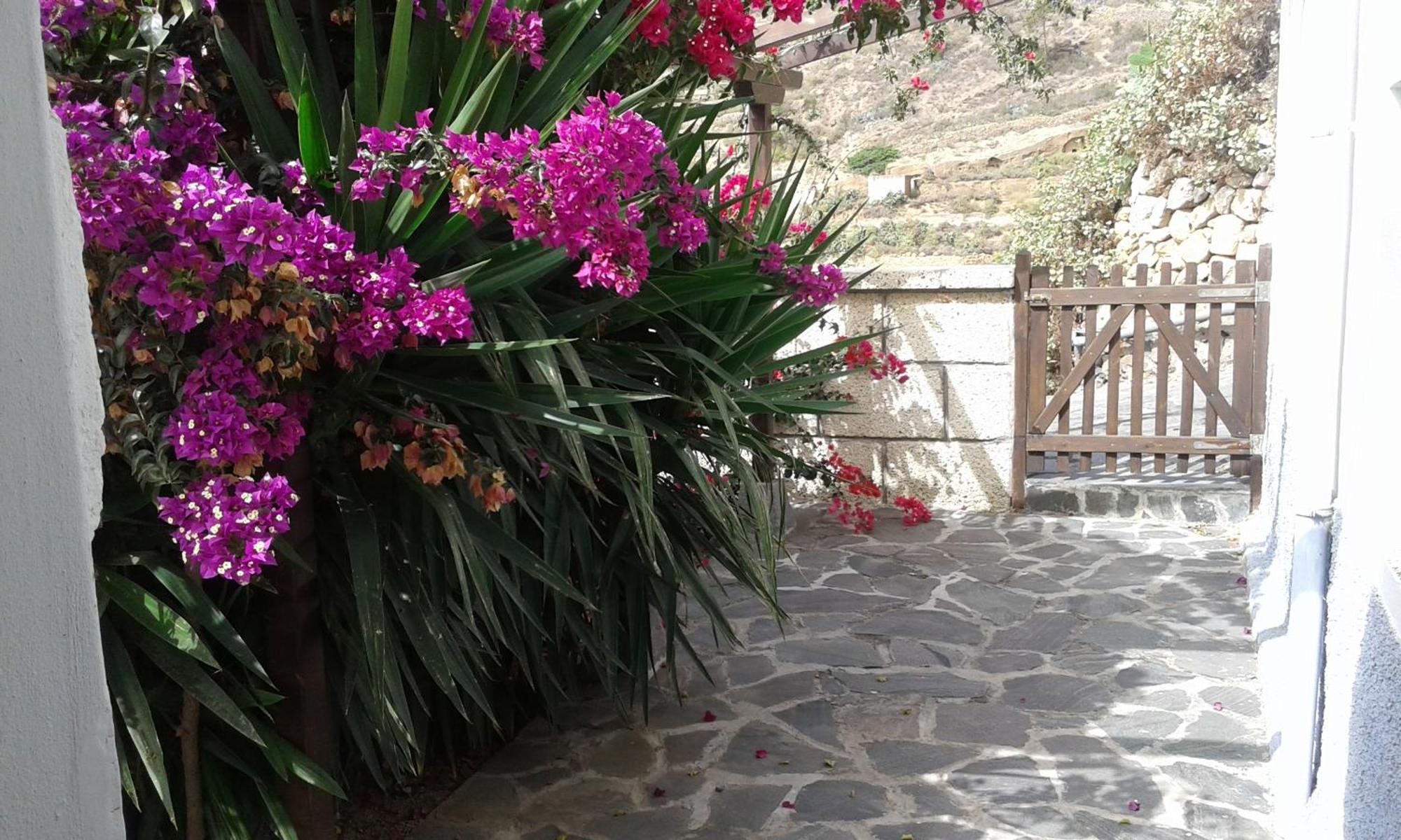 Holiday home Casapancho 1 Y 2 - - - Tenerife *