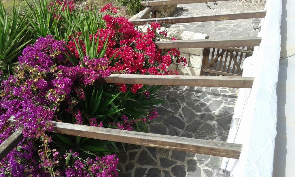 Casapancho 1 Y 2 - - - Tenerife Holiday home Fasnia